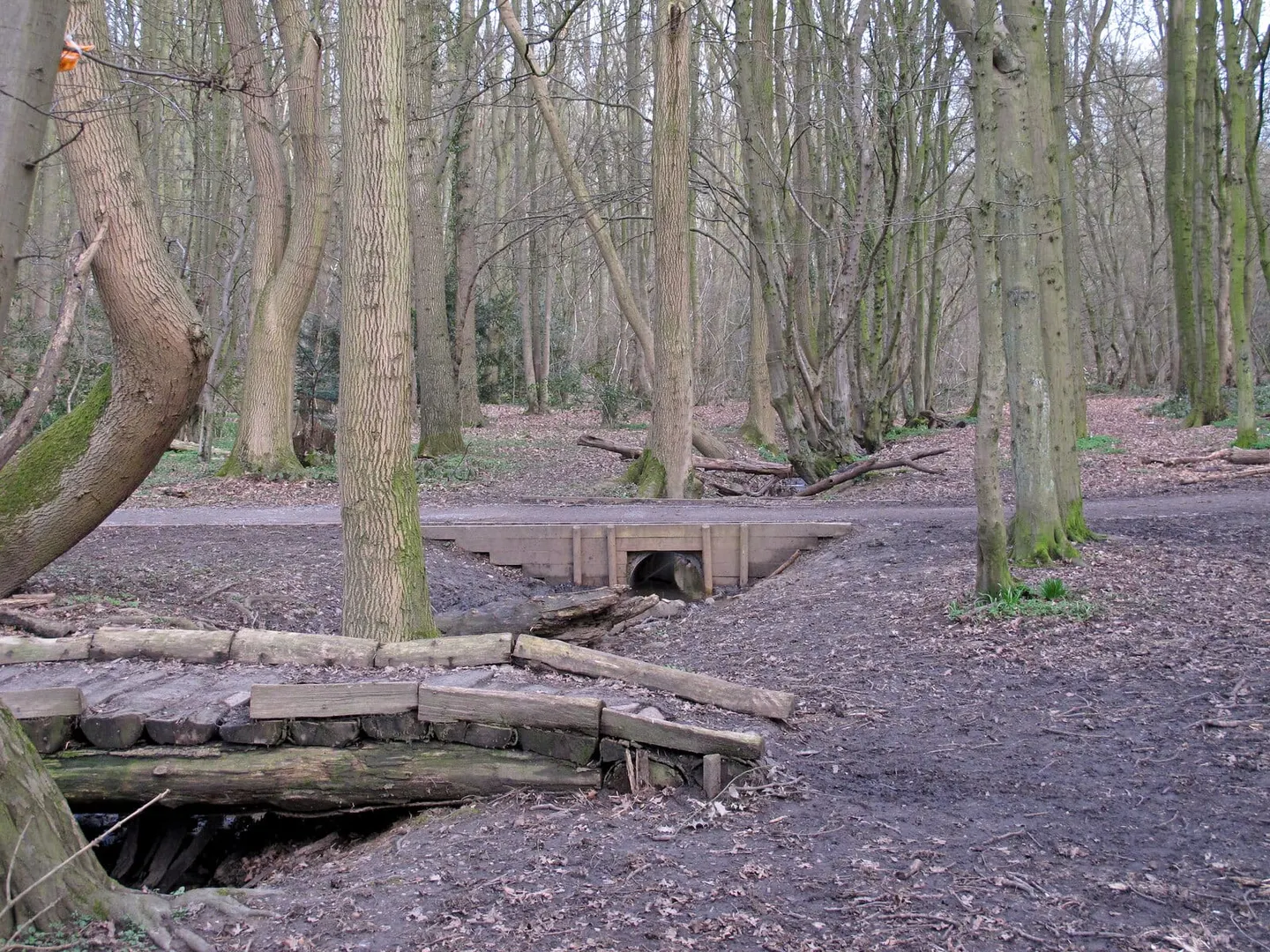 Photo of Red, White & Blue Country Park, a country park near Much Hadham, Hertfordshire, eastern England.