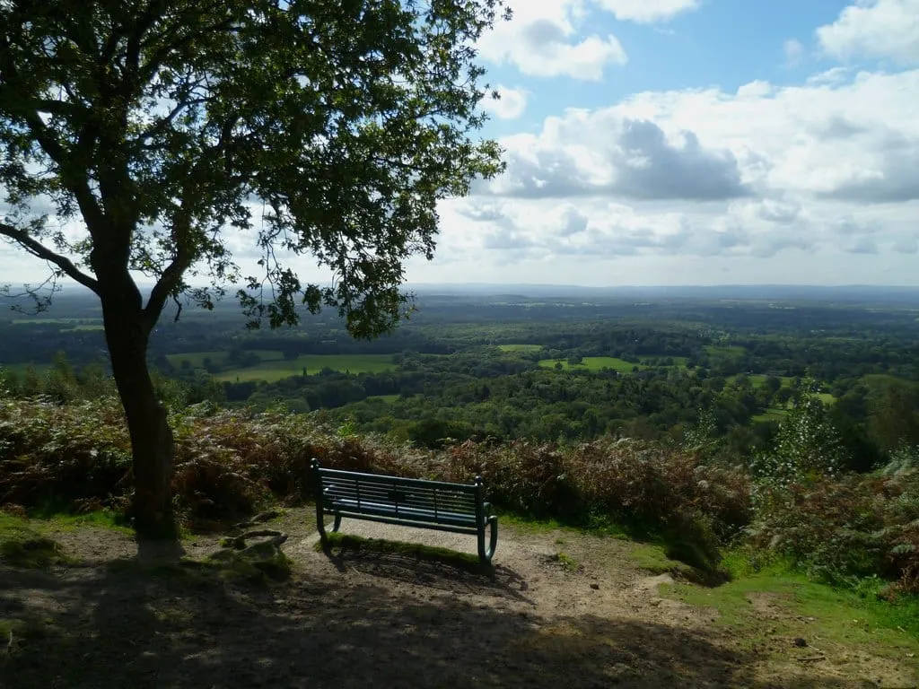 Photo: Pitch Hill, a viewpoint near Ewhurst, Surrey, south east England.