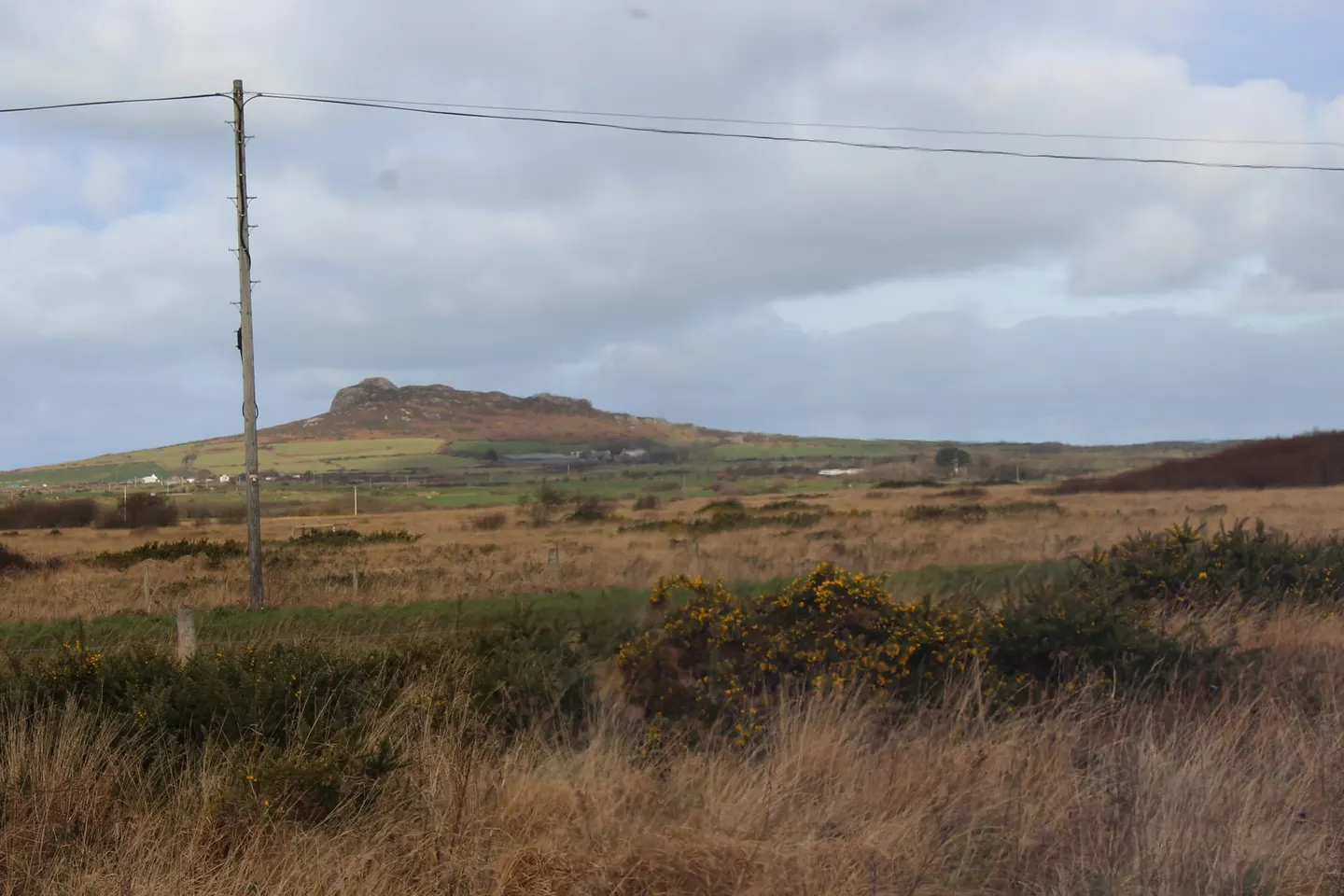 Photo of St David's Commons, a country estate near St Davids, Pembrokeshire, south west Wales.