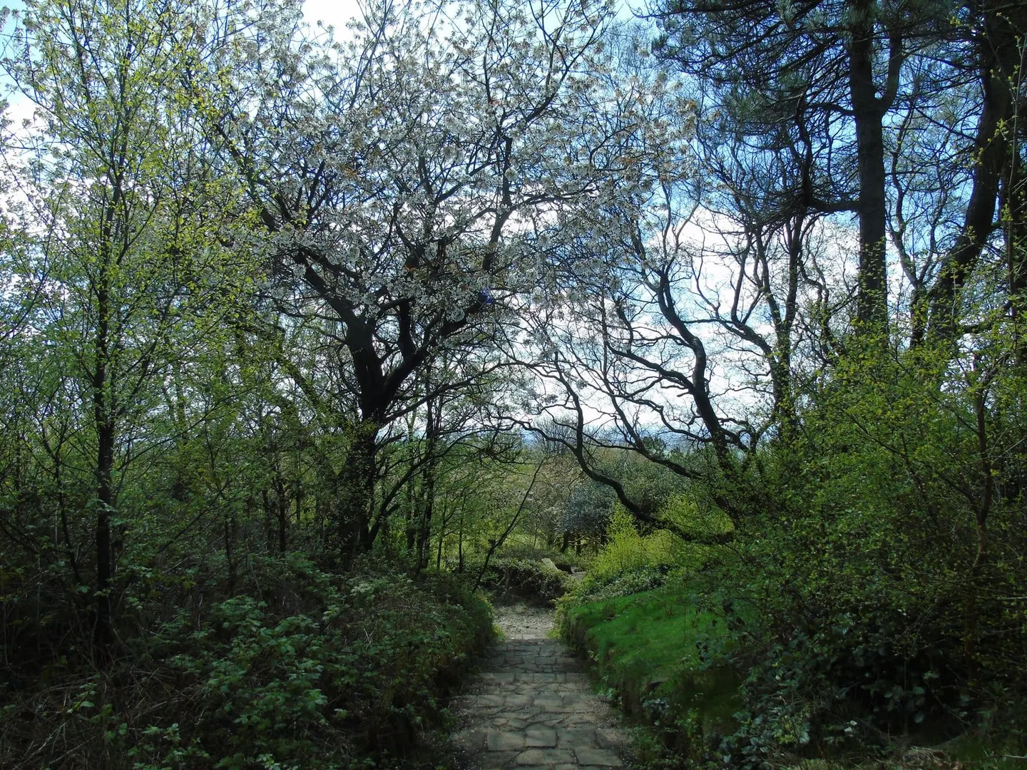 Photo of Terraced Gardens Rivington Country Park, a country park in Lancashire, north west England.