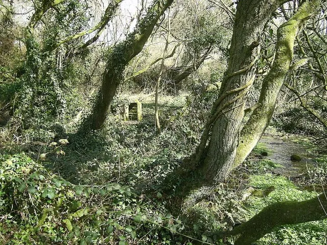 Photo of St Nicholas Commons, a country estate near Fishguard, Pembrokeshire, south west Wales.