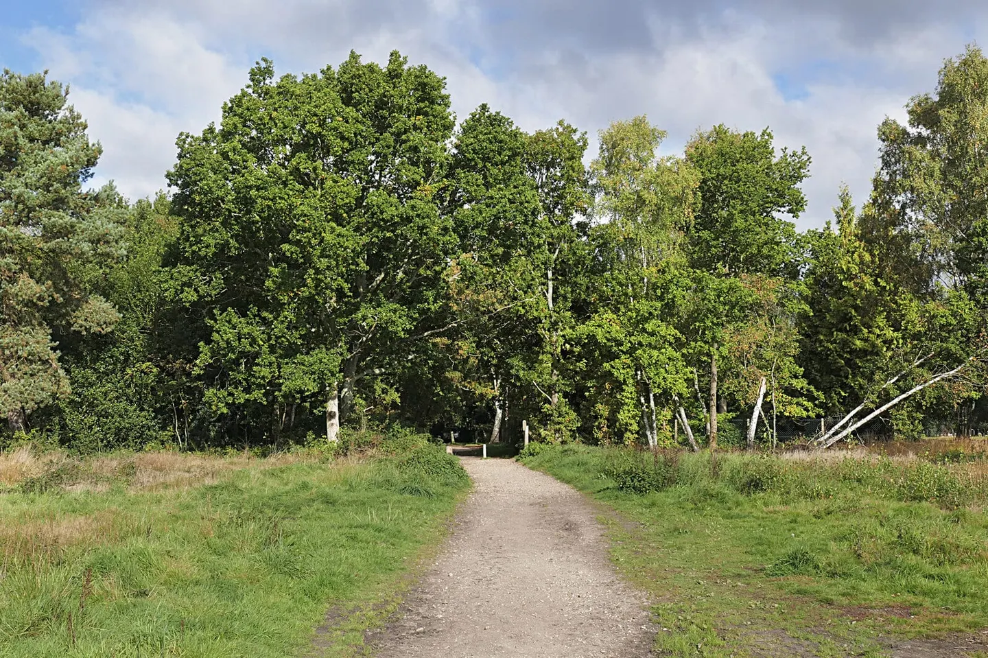 Photo of Yateley Common Country Park, a country park near Hartley Wintney, Hampshire, south east England.