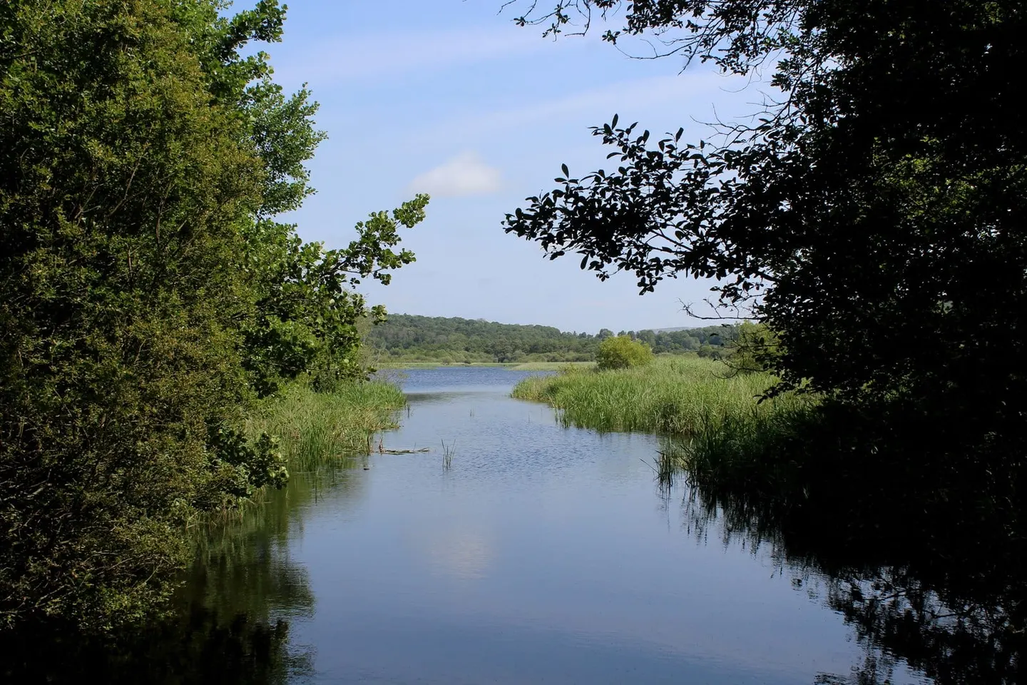 Photo of Leighton Moss, a Site of Special Scientific Interest near Silverdale in Arnside & Silverdale, Lancashire, north west England.