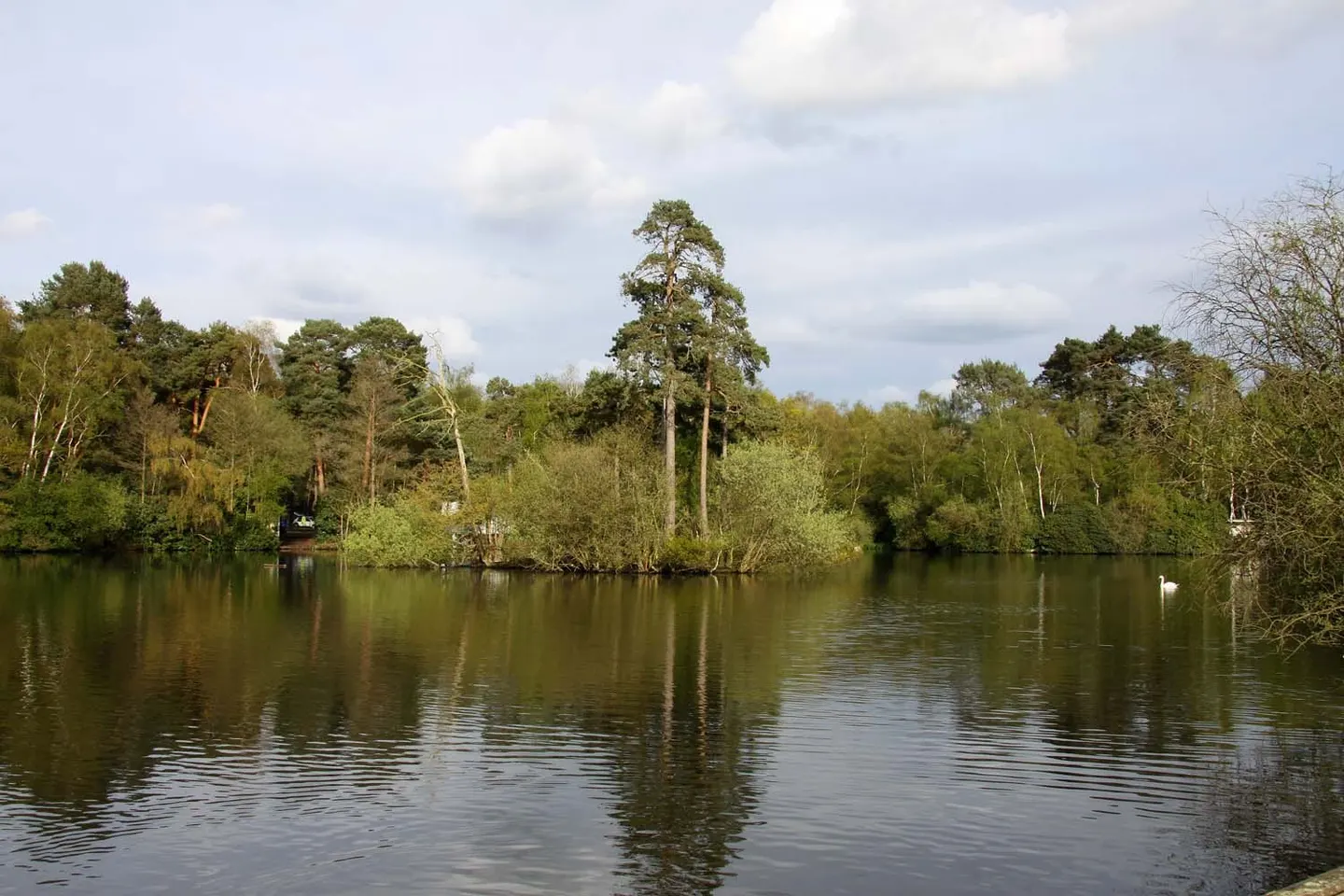 Photo of California Country Park, a country park near Hartley Wintney, Berkshire, south east England.