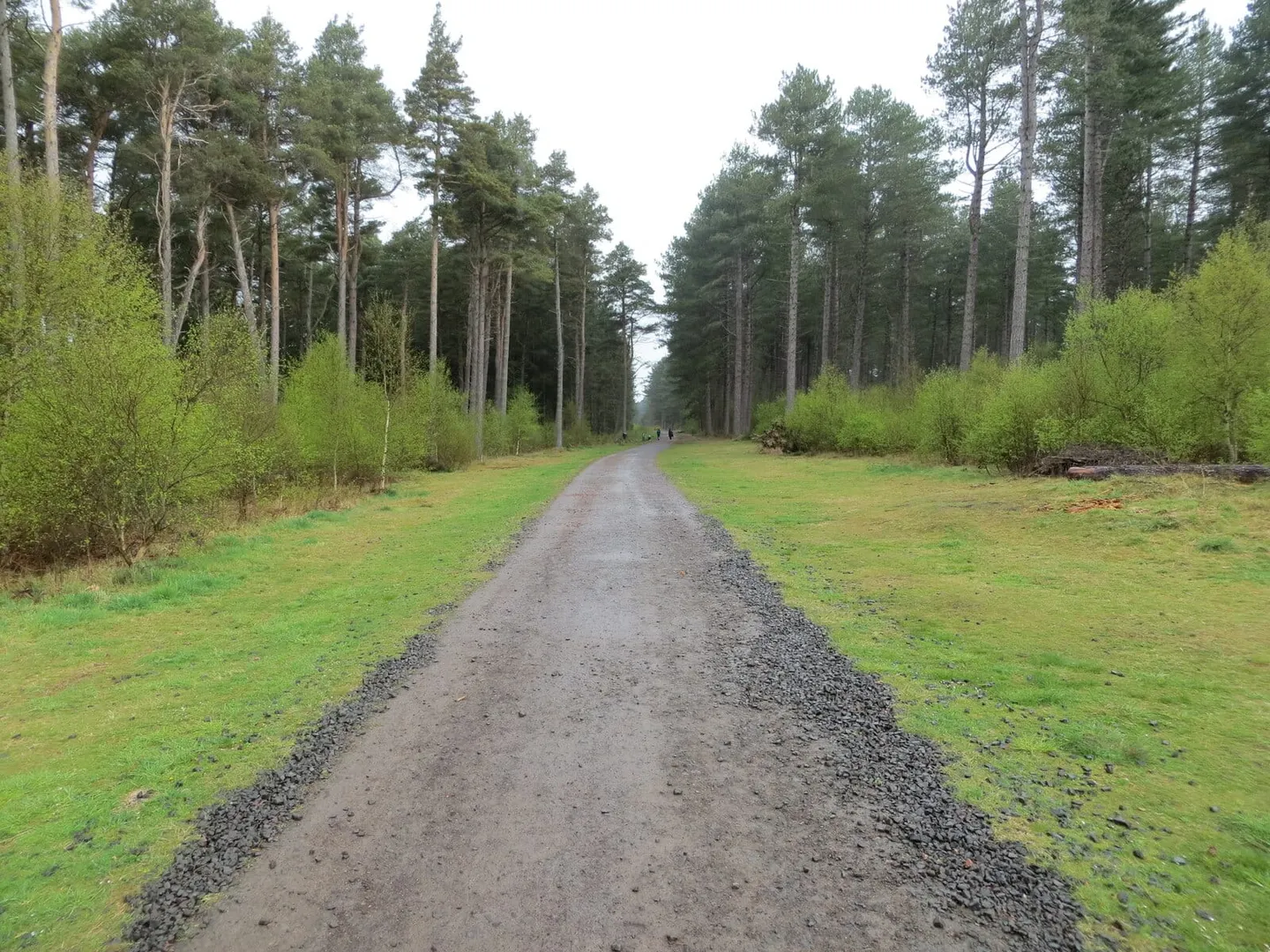 Photo of Tentsmuir, a National Nature Reserve near Monifieth, Fife, central Scotland.