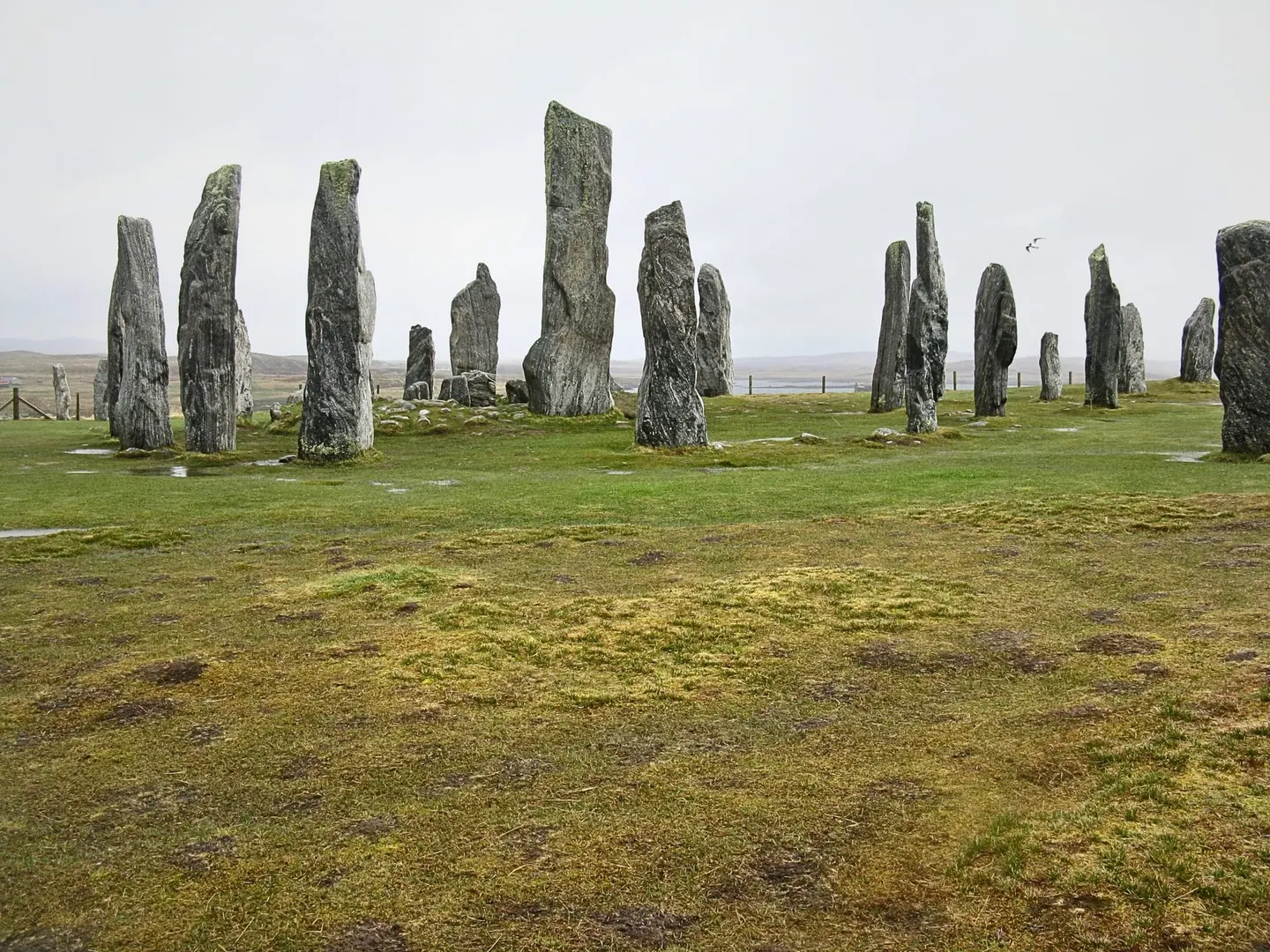 Photo of Calanais Standing Stones, a stone circle near Great Bernera, Na h-Eileanan Siar, the Scottish Highlands and Islands.