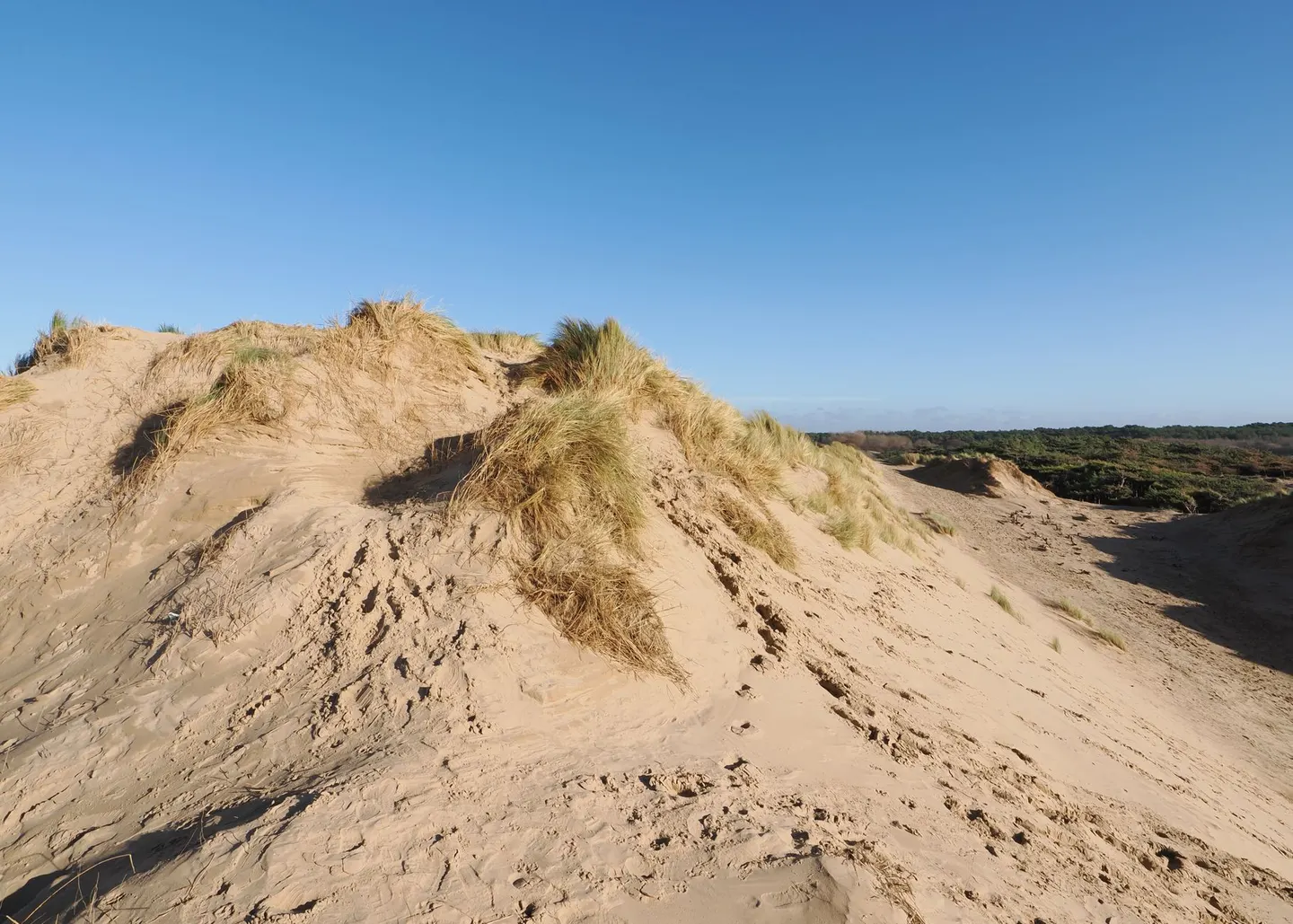 Photo of the coast at Formby, Merseyside, north west England.