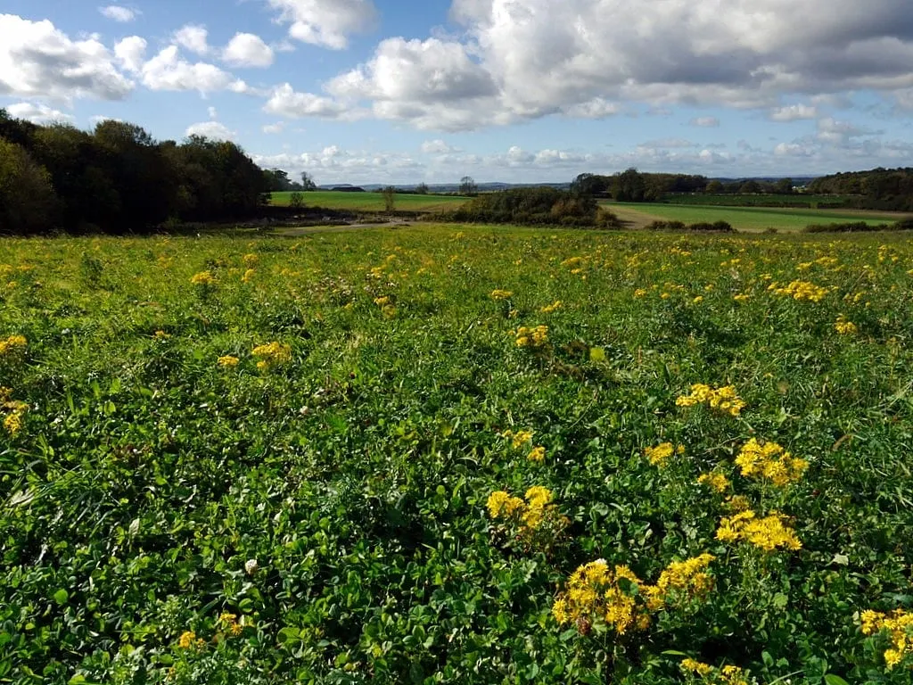 Photo of Hardwick Hall - Durham Country Park, a country park near Newton Aycliffe, County Durham, north east England.