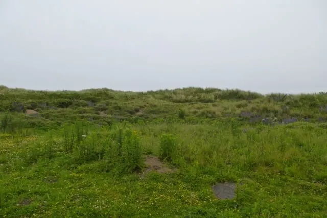Photo of Amble Links, a swimming spot in Northumberland, north east England.