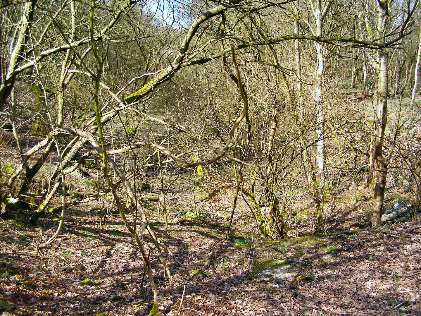 Photo of Clifton Country Park, a country park near Worsley, Greater Manchester, north west England.
