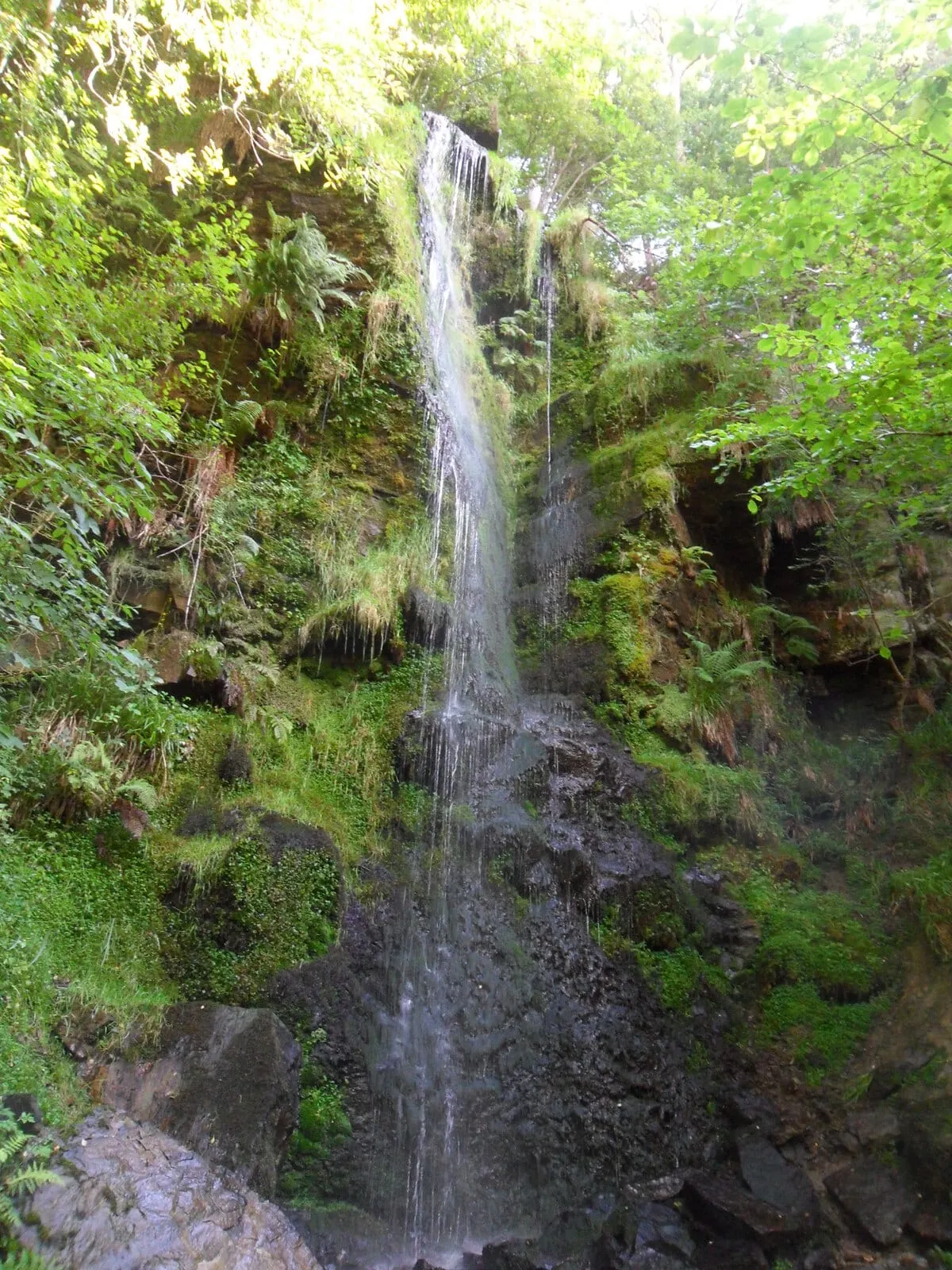 Photo of Mallyan Spout, a waterfall near Goathland in the North York Moors, North Yorkshire, northern England.