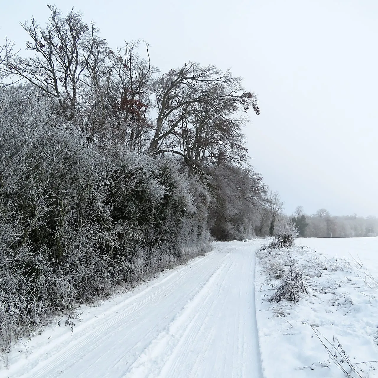 Photo of Wandlebury Country Park, a country park near Grantchester, Cambridgeshire, eastern England.