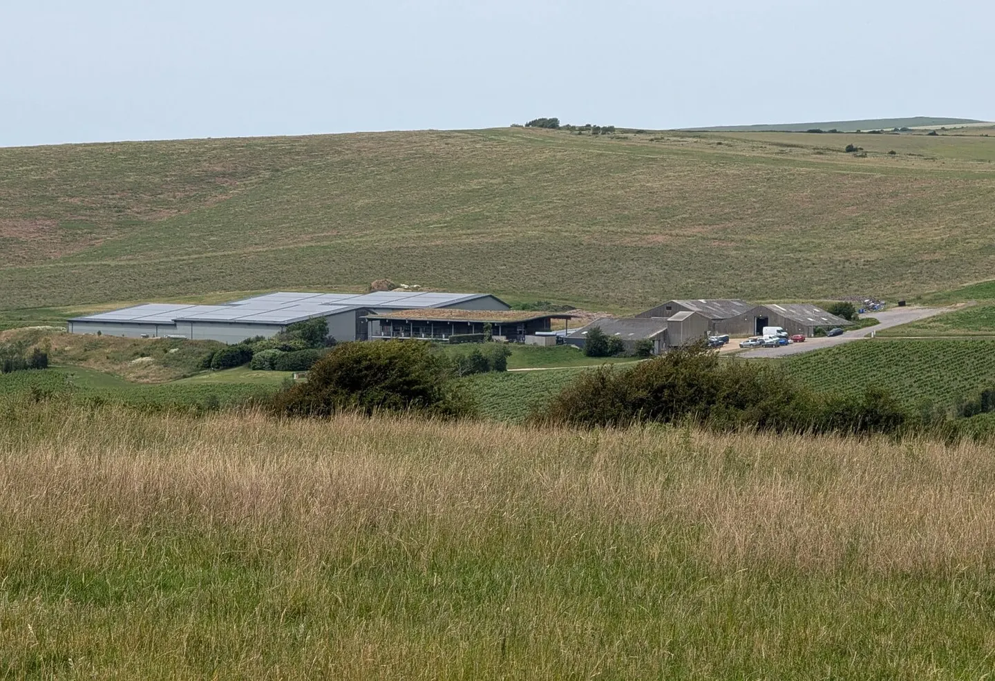 Photo of Rathfinny Wine Estate, a vineyard near Alfriston in the South Downs, East Sussex, south east England.