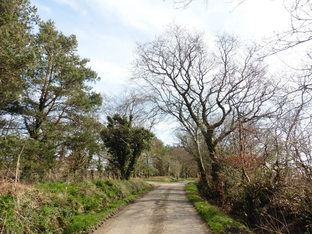Photo of Farway Country Park, a country park near Branscombe, Devon, south west England.