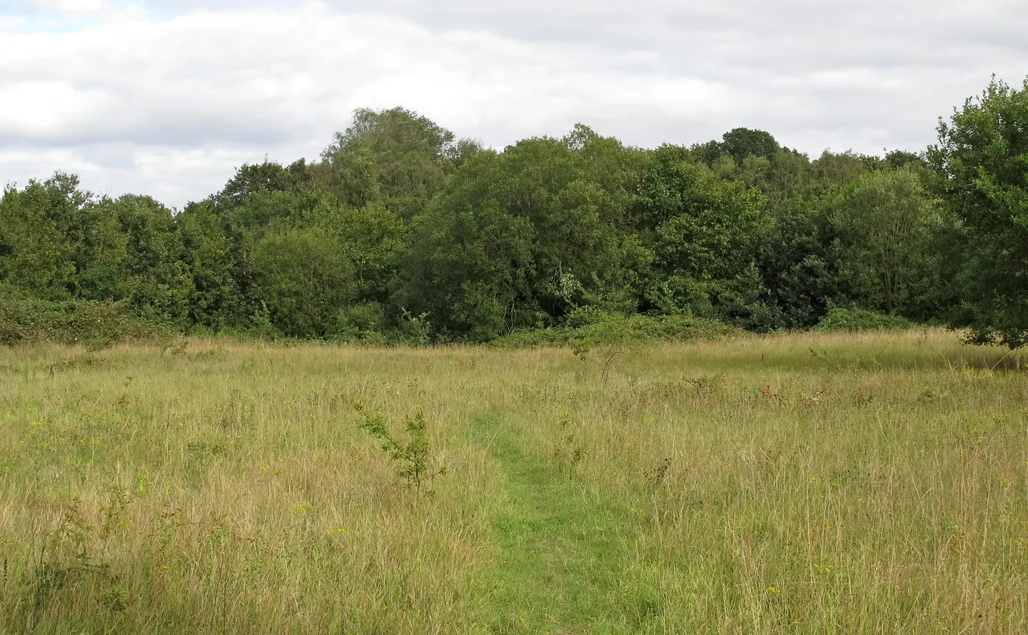 Photo of Merrymeade Country Park, a country park near Shenfield, Essex, eastern England.