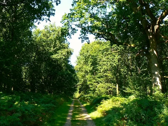 Photo of Tottenham House and Savernake Forest, a Grade II* registered house & garden near Wootton Rivers, Wiltshire, south west England.