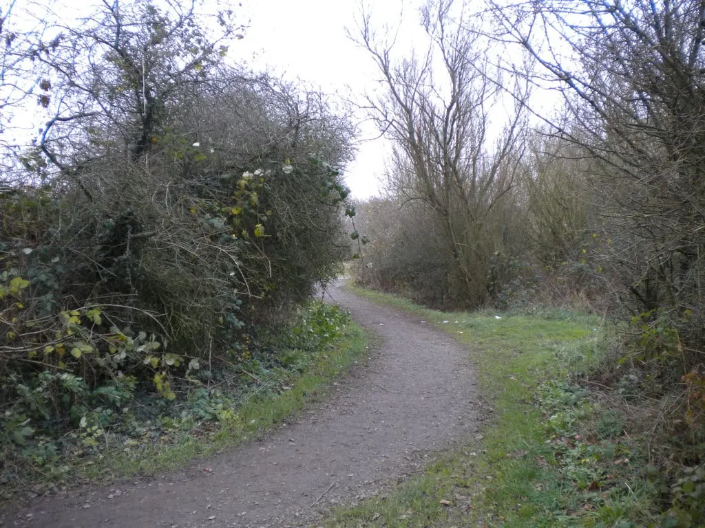 Photo of Snibston Country Park, a country park near Ashby-de-la-Zouch, Leicestershire, central England.