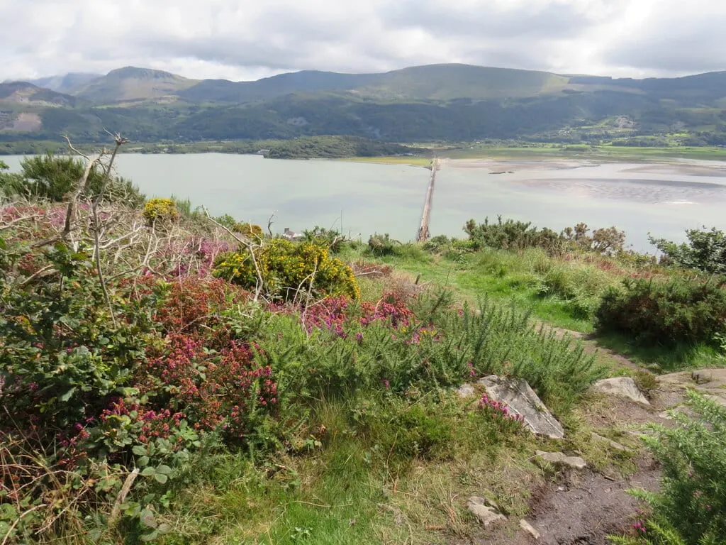 Photo of Dinas Oleu, a country estate near Barmouth, Gwynedd, north Wales.