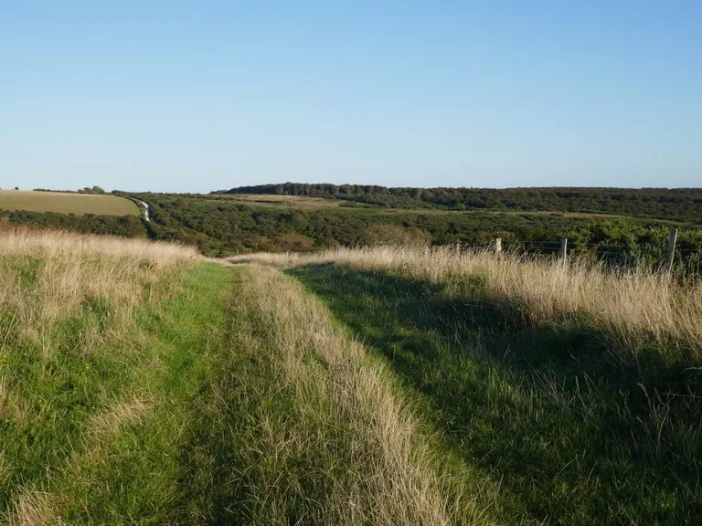 Photo of Lullington Heath, a Site of Special Scientific Interest near Jevington in the South Downs, East Sussex, south east England.