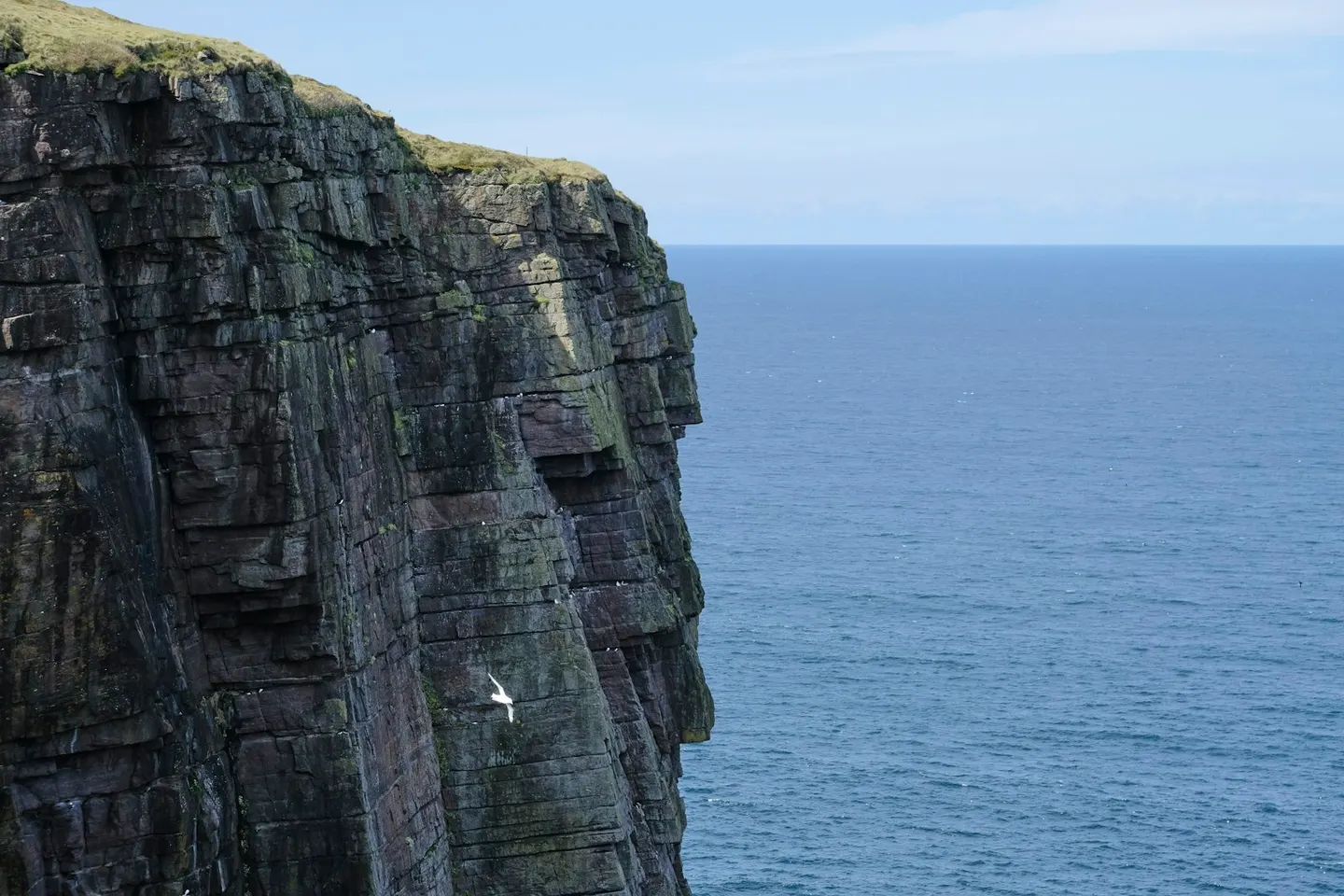 Photo of Handa Island, an island in Highland, the Scottish Highlands and Islands.