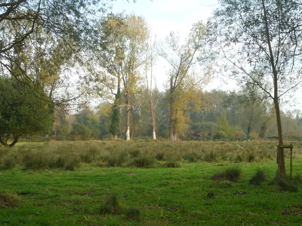 Photo of Friars Meadow, River Stour, a swimming spot near Long Melford, Suffolk, eastern England.