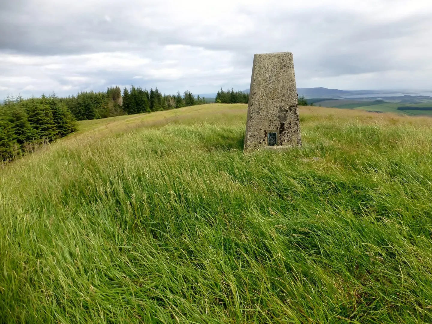 Photo: Innerdouny Hill, a 497m hill near Muckhart, Perth and Kinross, central Scotland.