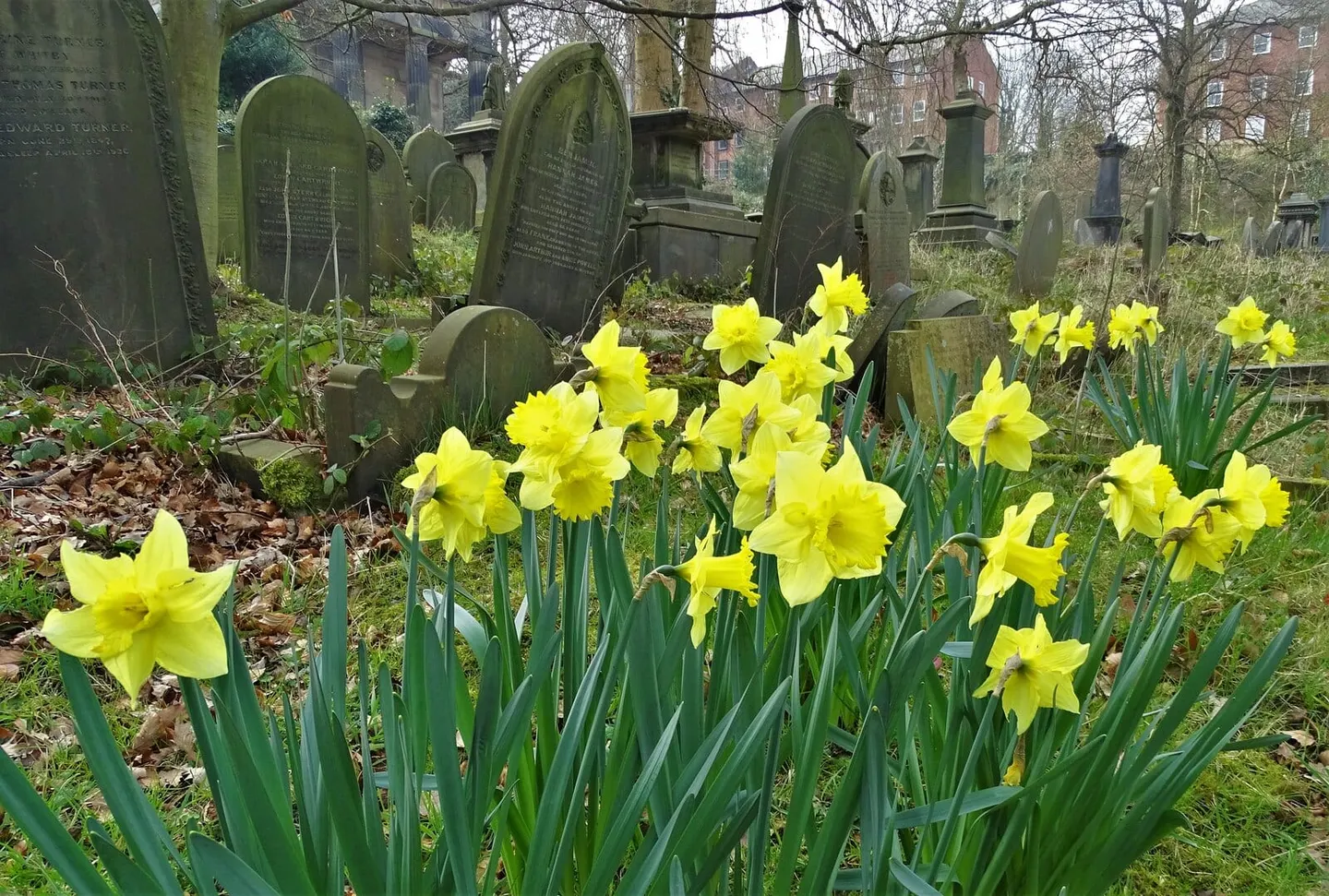 Photo of Sheffield General Cemetery, a Grade II* registered house & garden in South Yorkshire, northern England.