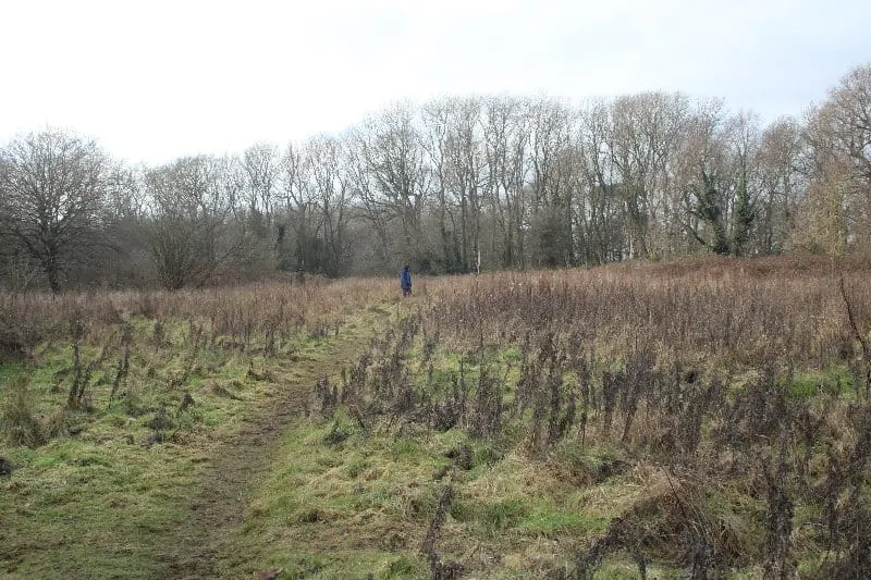 Photo of Weelsby Woods Country Park, a country park near Grimsby, Lincolnshire, central England.
