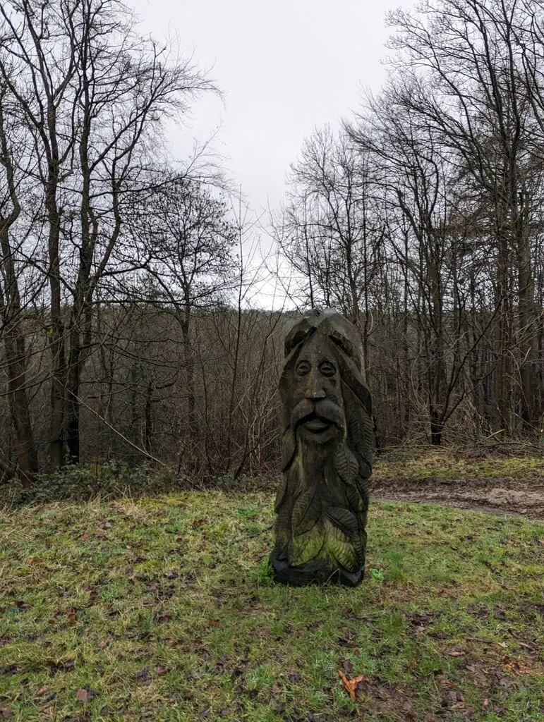 Photo of Ebworth, a nature reserve near Miserden in the Cotswolds, Gloucestershire, south west England.