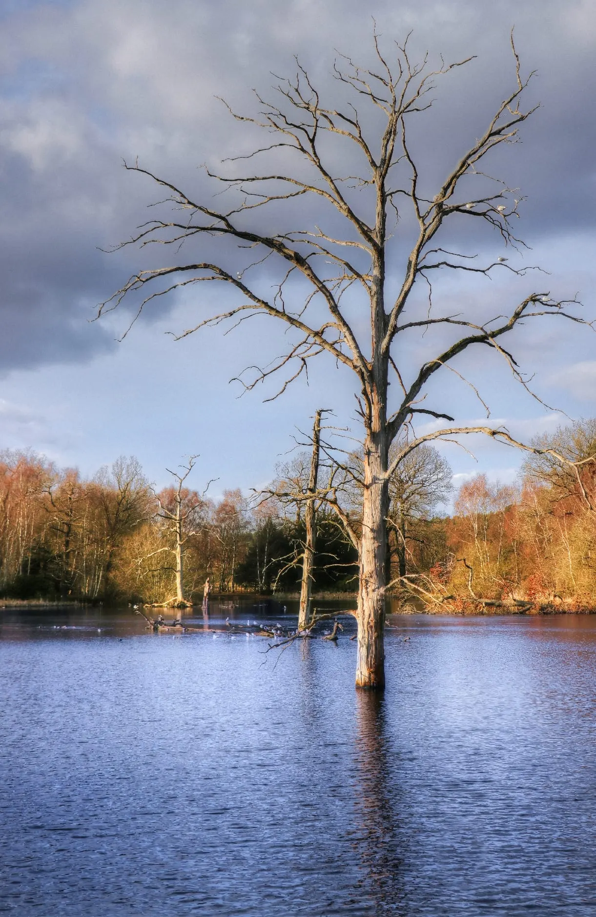 Photo of Clumber Park, a Grade I registered house & garden near Kirton, Nottinghamshire, central England.