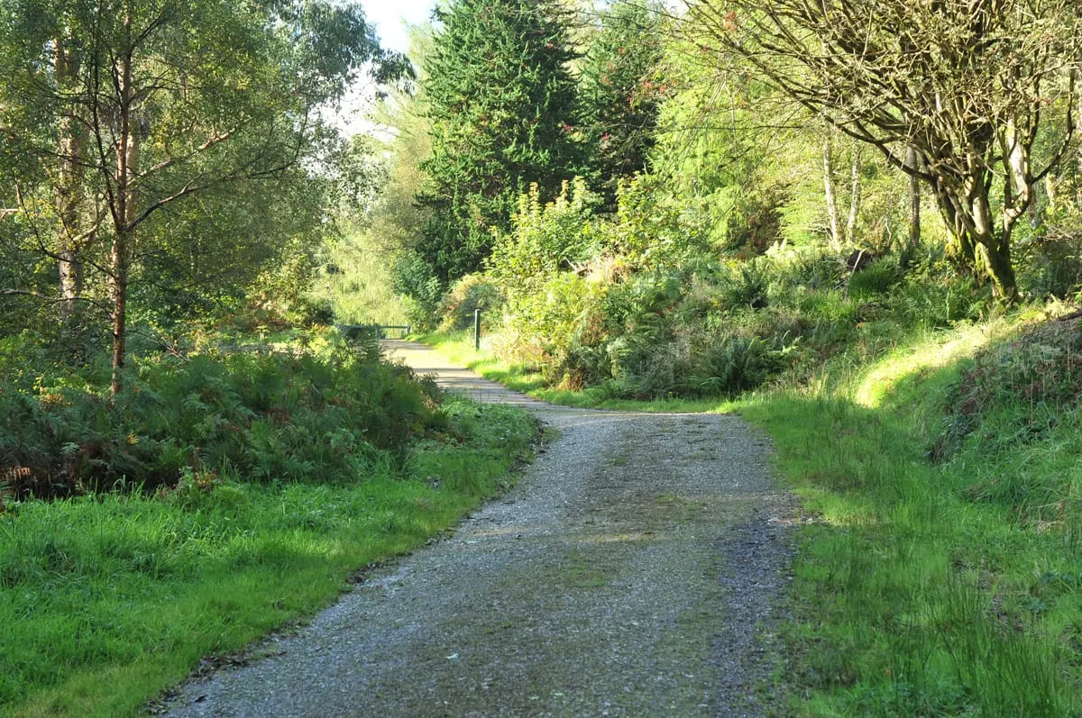 Photo of Kilmun Arboretum, a garden in Loch Lomond & The Trossachs, Argyll and Bute, the Scottish Highlands and Islands.