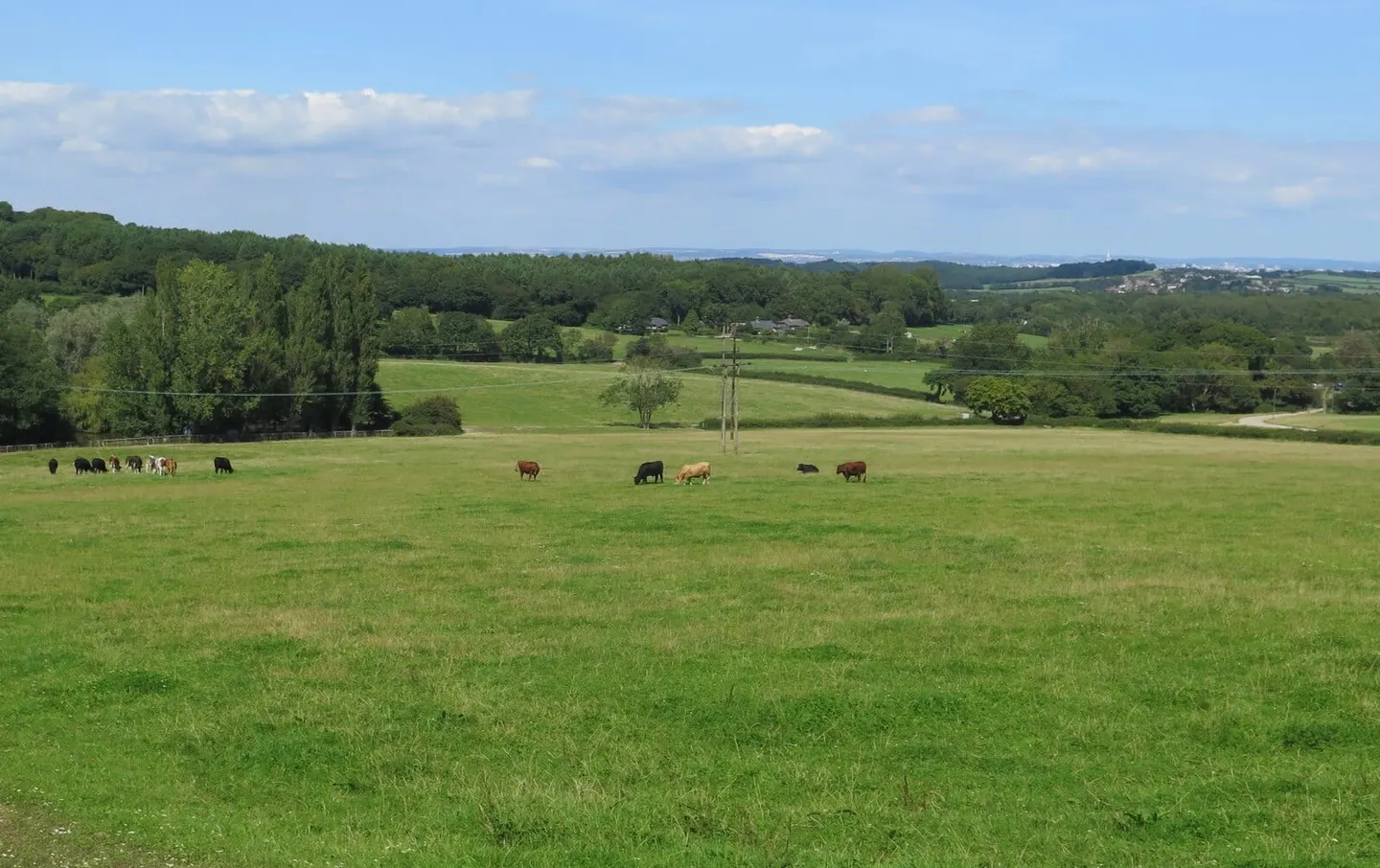 Photo of Robin Hill Country Park, a country park near Godshill, the Isle of Wight, south east England.