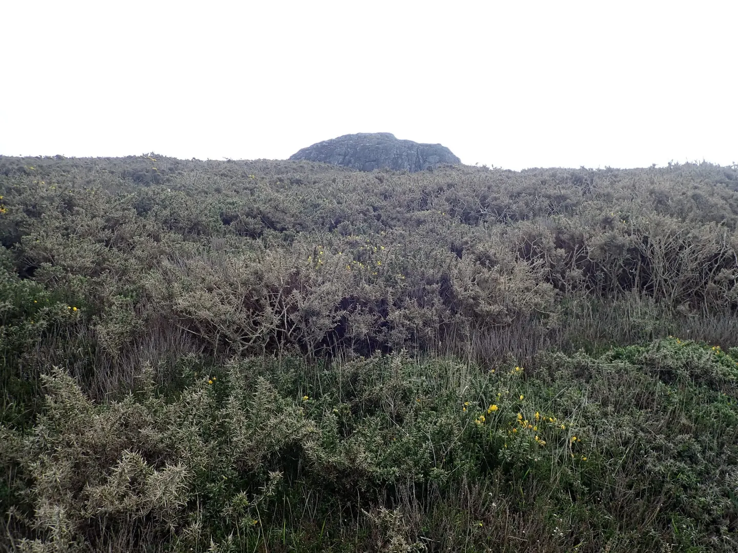 Photo of the coast at Pen Beri and Treleidir, Pembrokeshire, south west Wales.