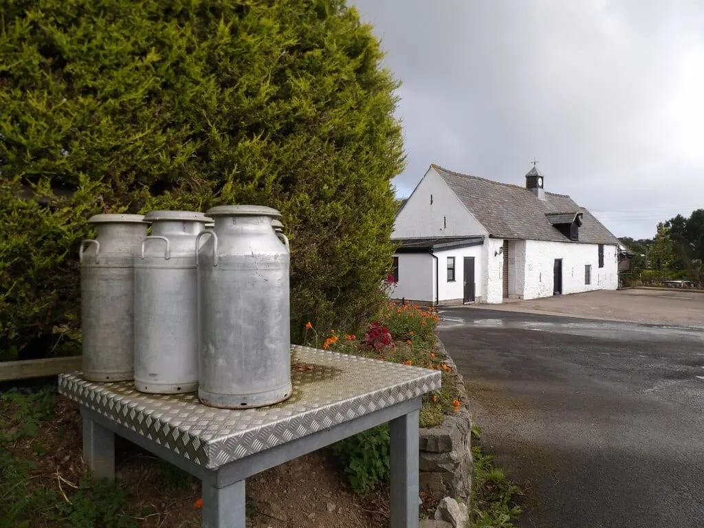 Photo of Llaeth y Llan (Village Dairy), a farm & farm shop near Llannefydd, Conwy, north Wales.