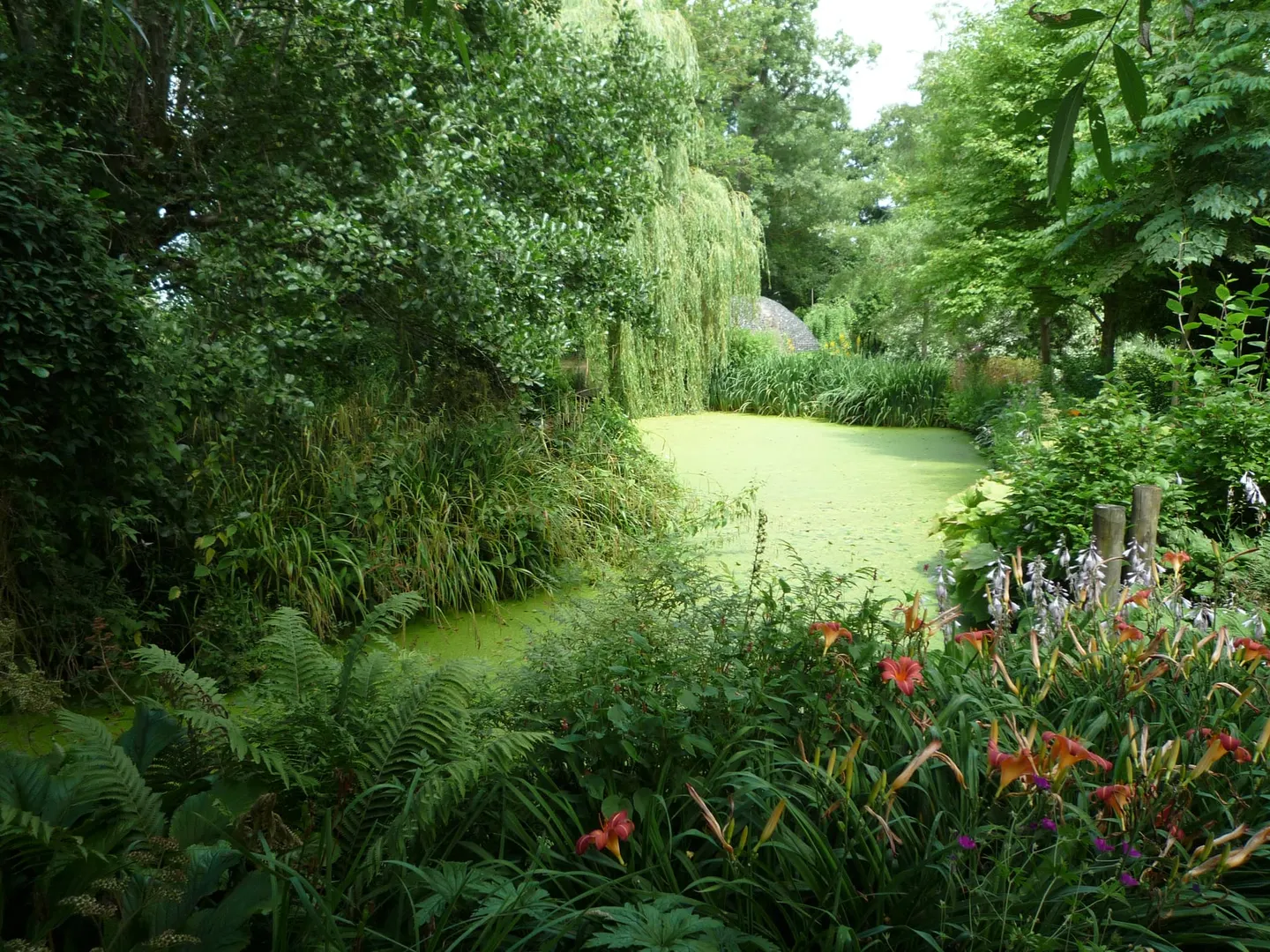 Photo of Westonbury Mill Water Gardens, a garden near Pembridge, Herefordshire, central England.