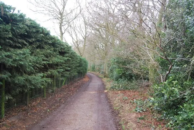 Photo: Beacon Hill (Norfolk), a 105m hill near Sheringham, Norfolk, eastern England.