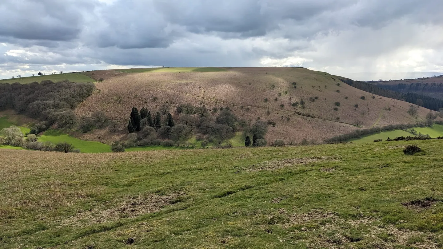 Photo: Bradnor Hill, a 392m hill near Kington, Herefordshire, central England.