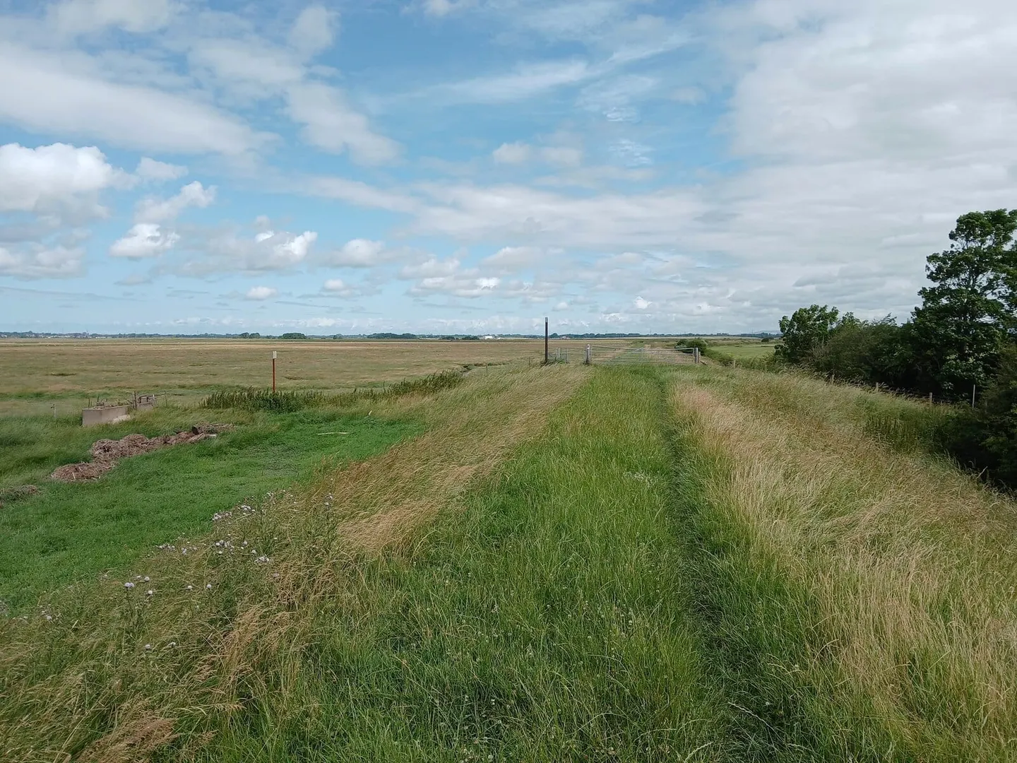 Photo along the Ribble Way, a 70-mile long-distance path running from Longton to Ribblehead, England.