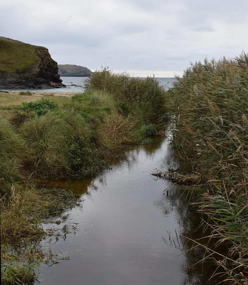 Photo of Church Cove, a swimming spot near Mullion, Cornwall, south west England.