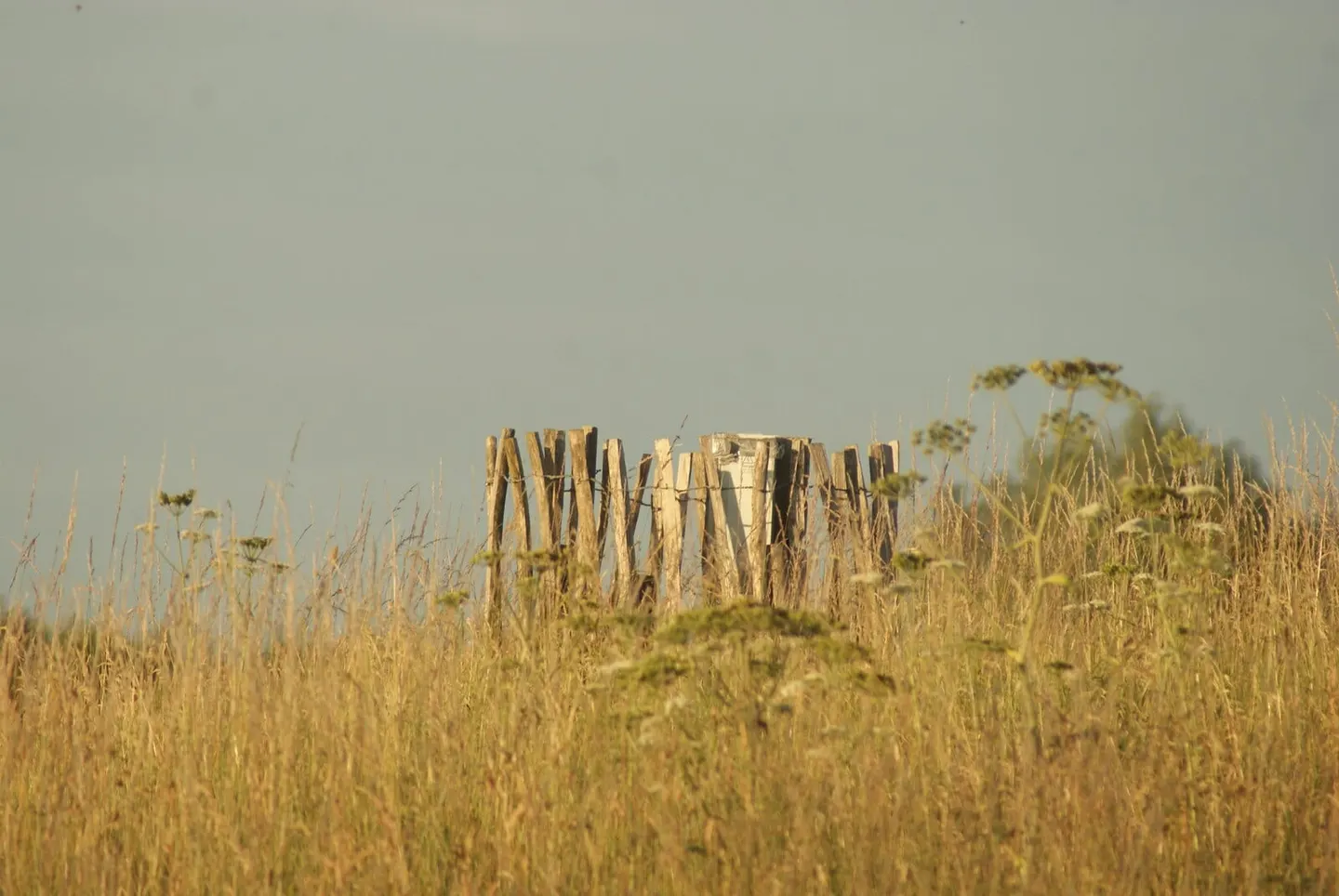 Photo of Fairlop Waters Country Park, a country park near Newbury Park, London, England.