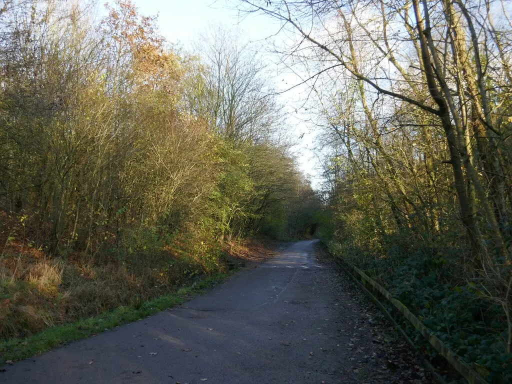 Photo of Vicar Water Country Park, a country park near Edwinstowe, Nottinghamshire, central England.