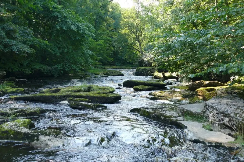 Photo of the River Eden, a 90-mile river running from Mallerstang to Solway Firth, north west England.