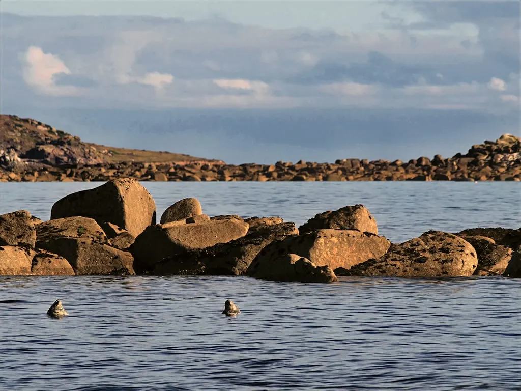 Photo of Samson, an island in Cornwall, south west England.