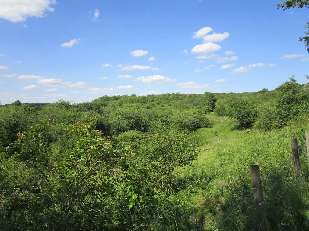 Photo of Fermyn Woods Country Park, a country park near Brigstock, Northamptonshire, central England.