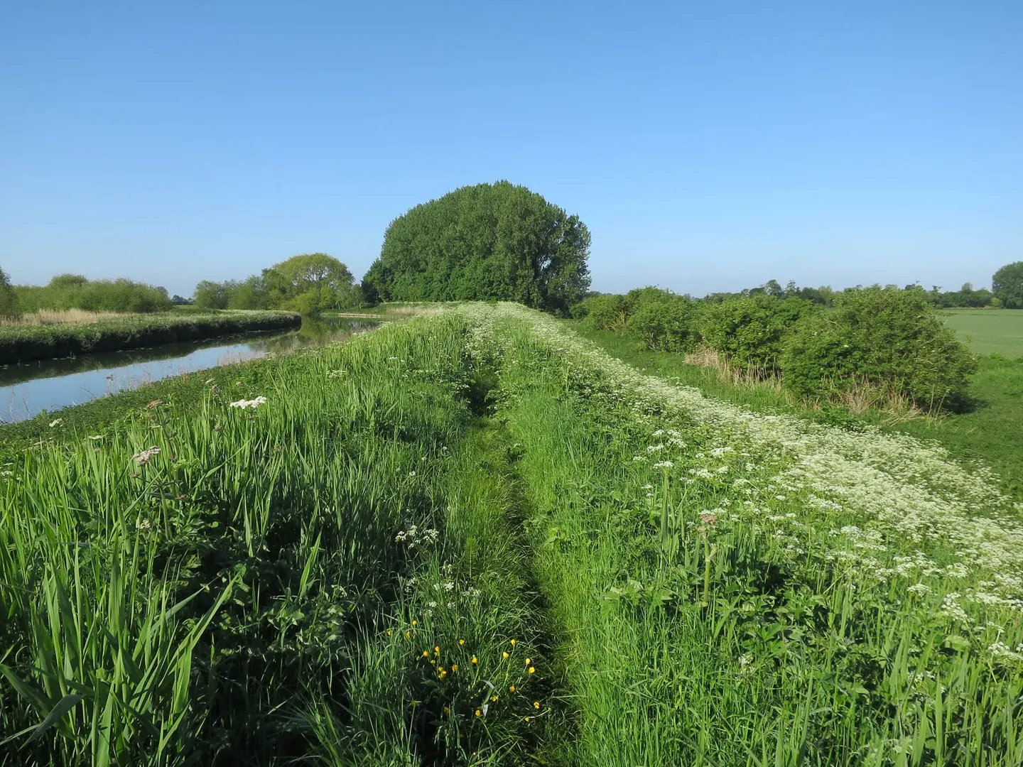Photo along the Fen Rivers Way, a 50-mile long-distance path running from Cambridge to King's Lynn, eastern England.