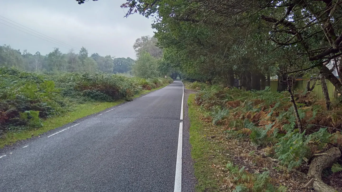 Photo of Hightown Common, a country estate near Burley in the New Forest, Hampshire, south east England.