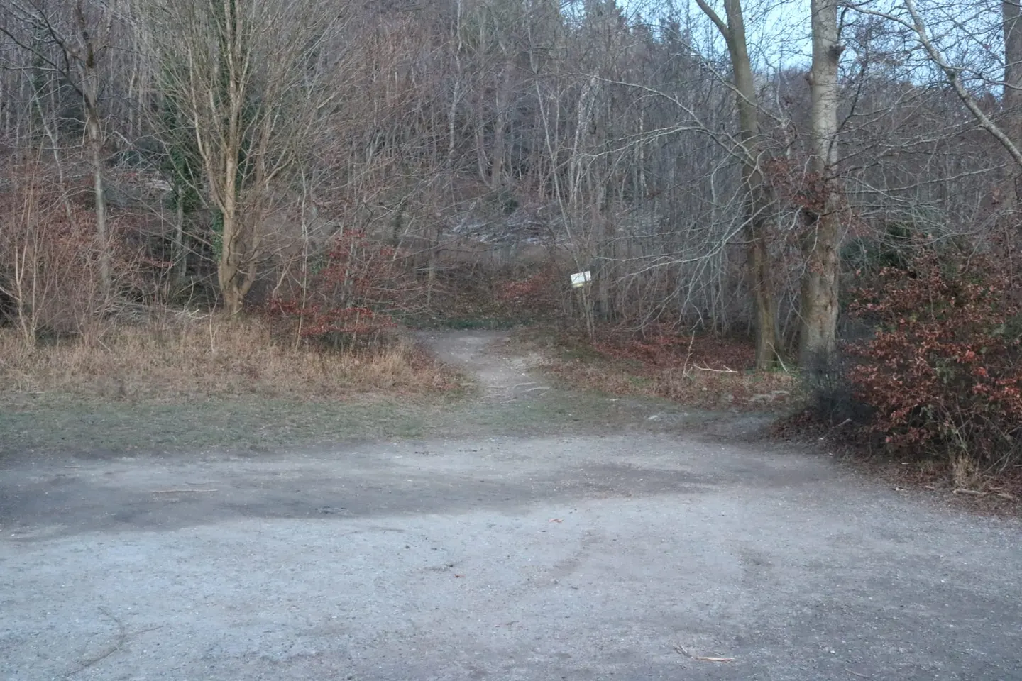 Photo of Pulpit Wood, a nature reserve near Princes Risborough in the Chilterns, Buckinghamshire, south east England.