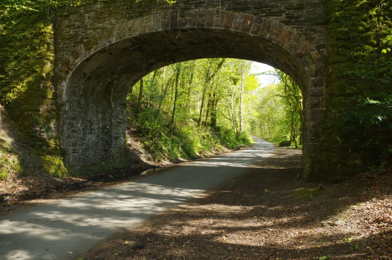 Photo of Plymbridge, a nature reserve near Plymouth, Devon, south west England.