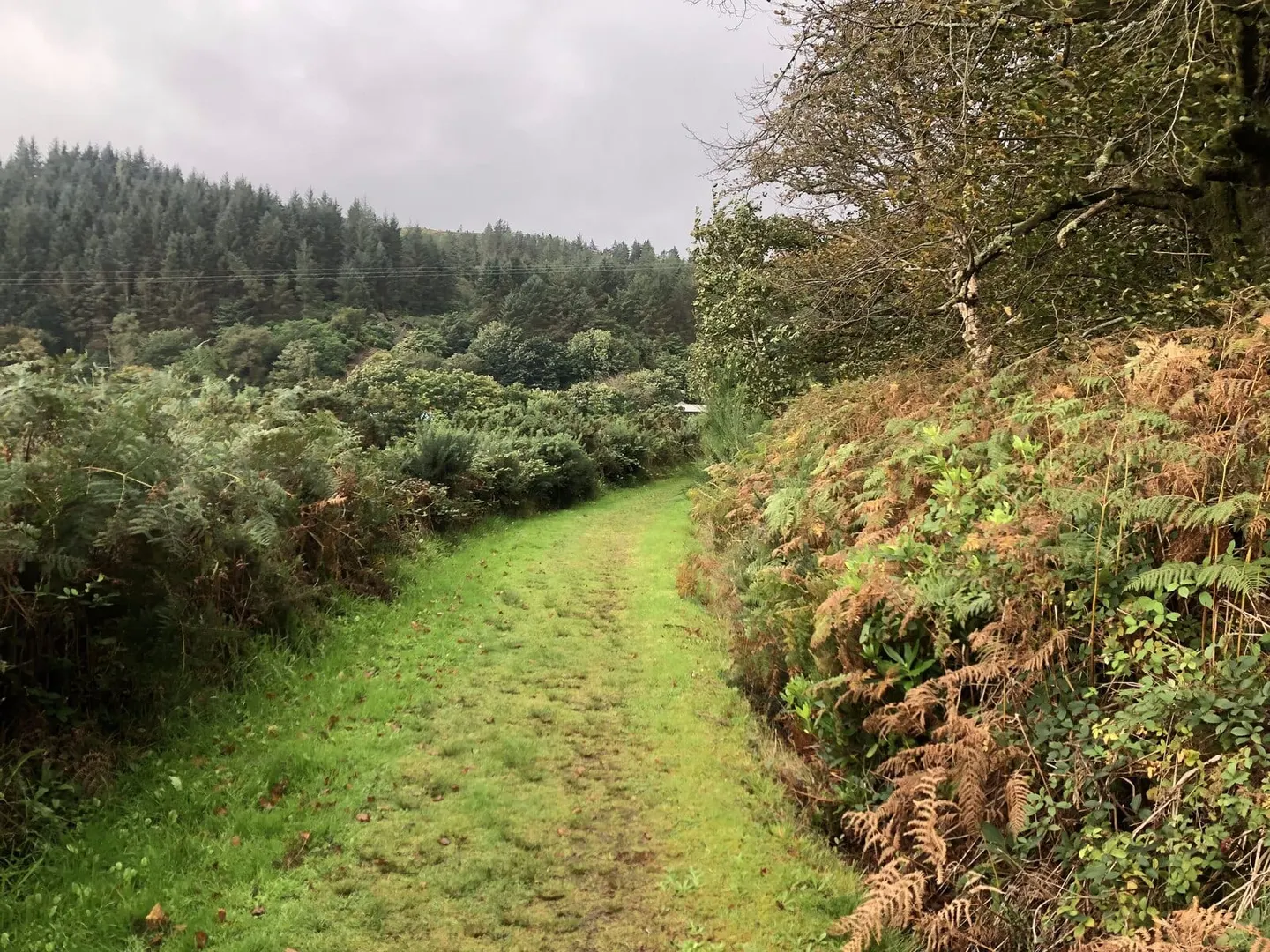 Photo along the Kintyre Way, a long-distance trail running from Tarbert to Machrihanish, the Scottish Highlands and Islands.