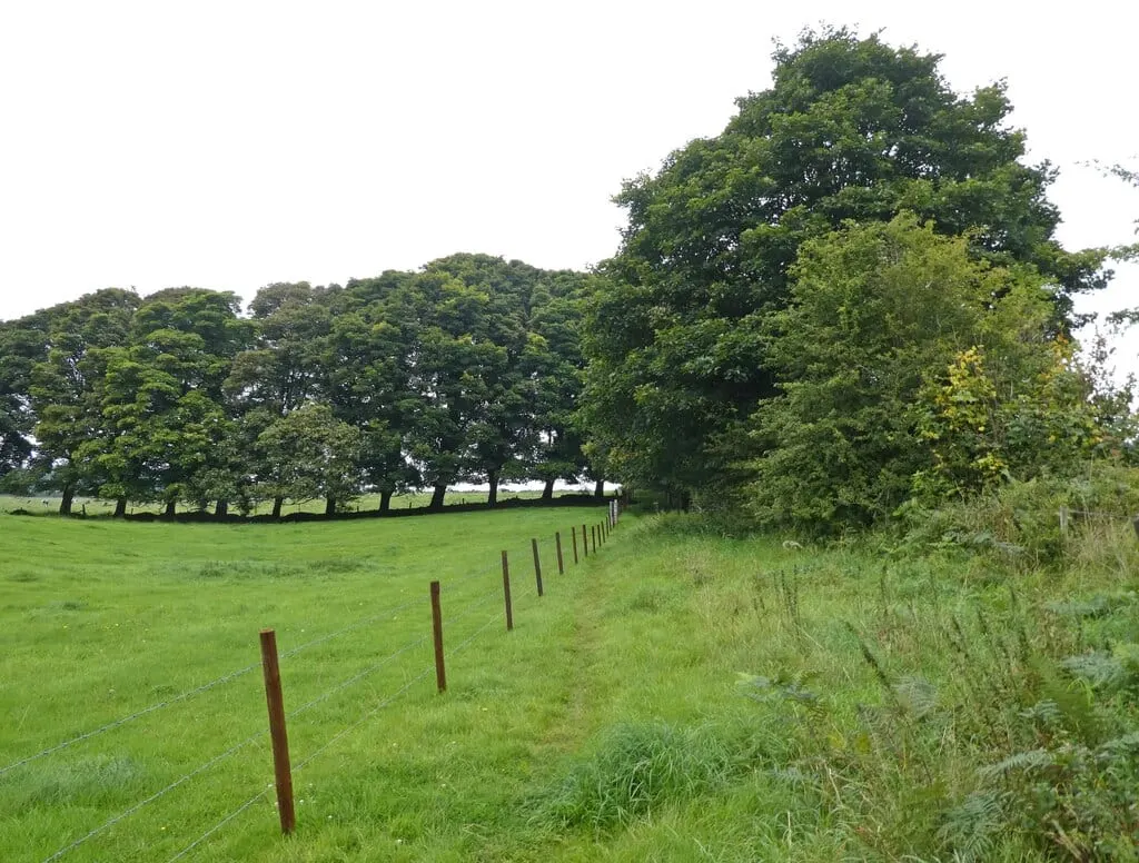 Photo along the Monarch's Way, a 625-mile long-distance path running from Worcester to Shoreham-by-Sea, England.